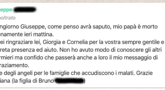 Bruno